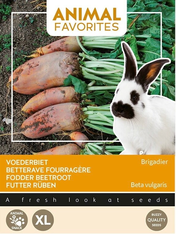 Fodder Beetroot seeds for your Pet Bunny Rabbit Grow your own Organic Pet Food gift for him her teacher gifts DIY plants birthday present