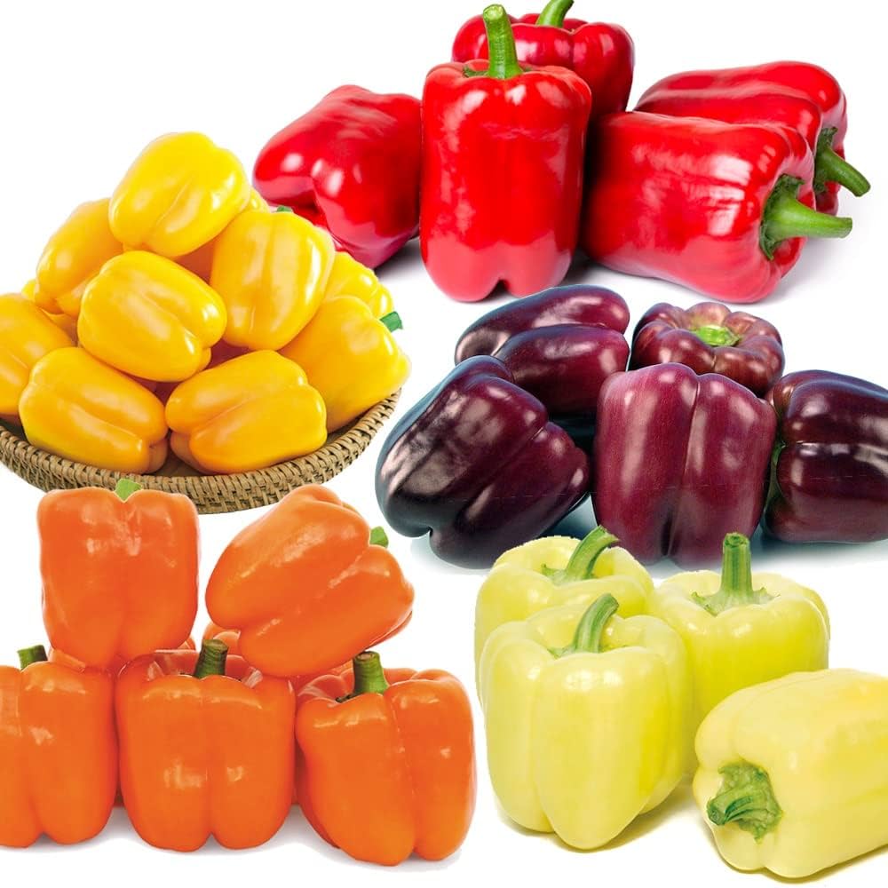 5 Different Color Sweet Pepper Seeds