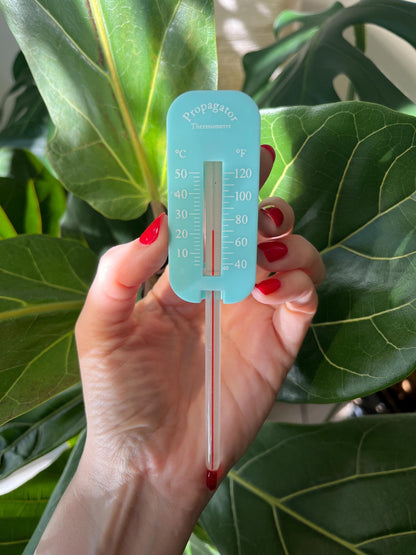 Propagator Thermometer