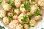 White Strawberry Seeds