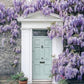 Wisteria Blue Rain Seeds