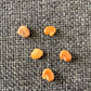 Regal Bird Flower seeds, Flowers like Hummingbirds, success is guaranteed (seeds for all year round) fast shipping