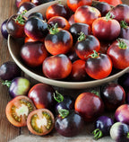Black Tomato Seeds, Vibrant Red and Black, fun and easy to grow, gift idea, gardening, organic, kids love these, can be grown in all zones