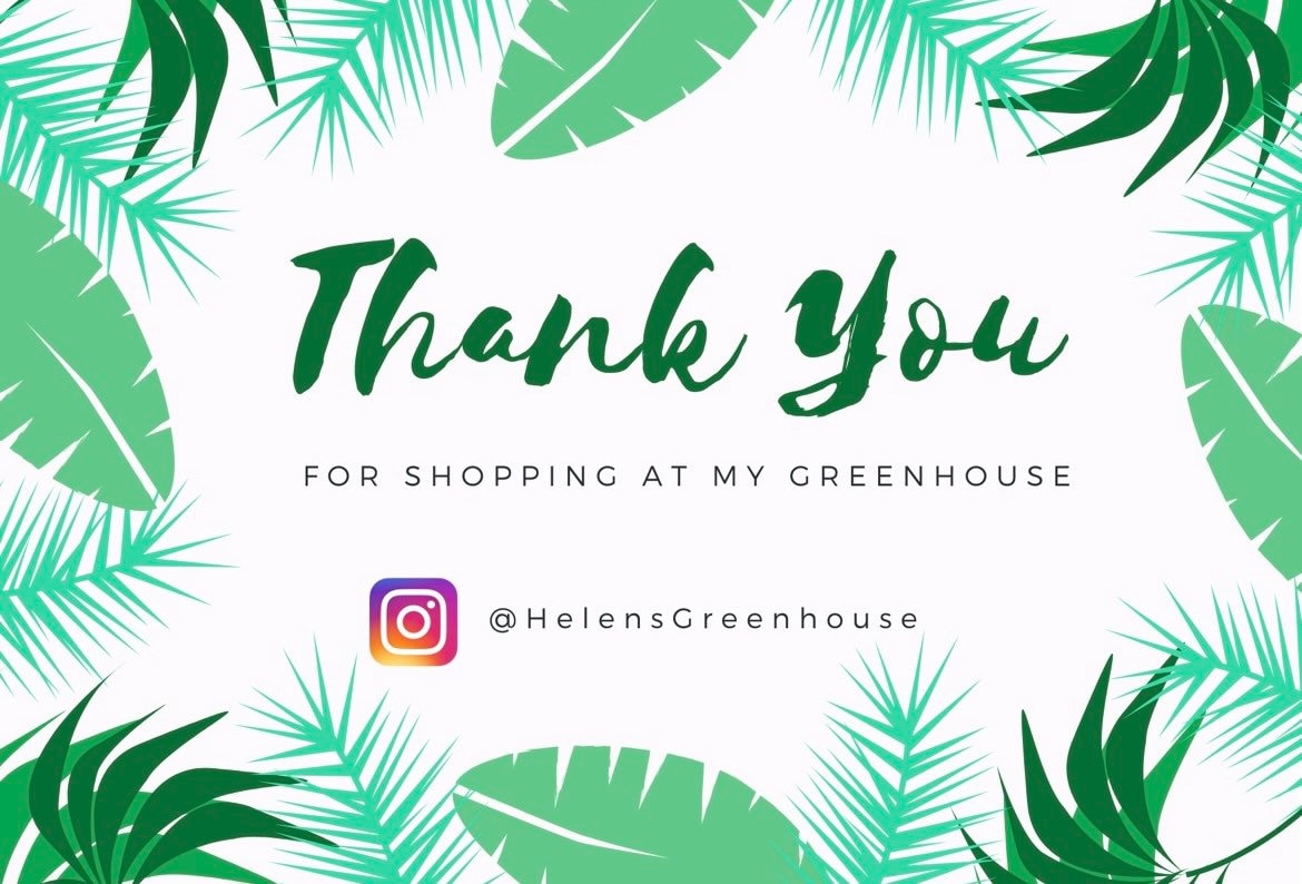 Prickly Pear Fig Cactus seeds, edible, best gift for him her home decor teacher gifts organic gardening birthday flowering plants succulents