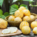 Lemon Apple Cucumber Seeds: Organic, Exotic, Homegrown Fruit Vegetables garden