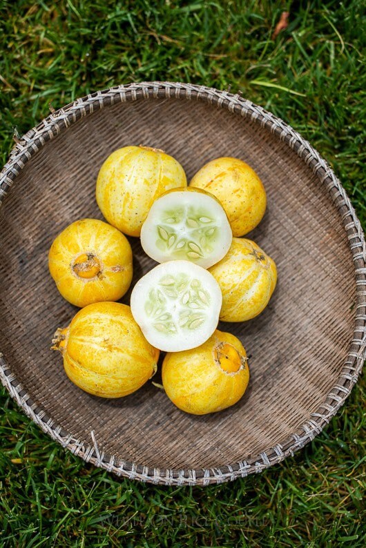Lemon Apple Cucumber Seeds: Organic, Exotic, Homegrown Fruit Vegetables garden