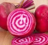 Striped Beetroot seeds, grow your own Beetroot Burger, Beetroot carpaccio, fun and easy to grow, great gift, organic & vegan, fast shipping