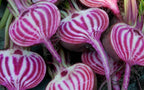 Striped Beetroot seeds, grow your own Beetroot Burger, Beetroot carpaccio, fun and easy to grow, great gift, organic & vegan, fast shipping