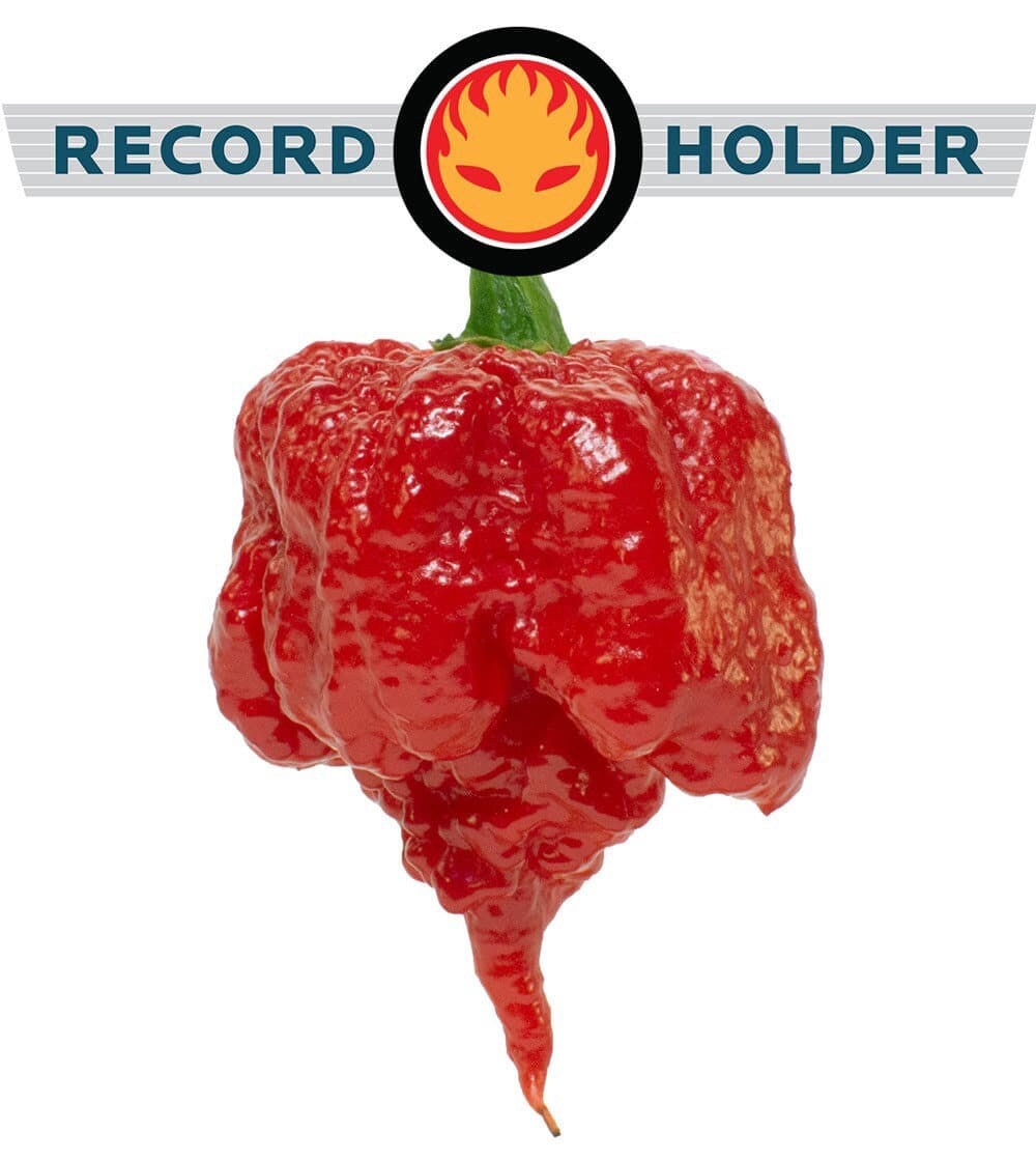 Carolina Reaper seeds, EXTREME HOT, one of the hottest in the World, fun and easy to grow, gift idea, organic, fast shipping