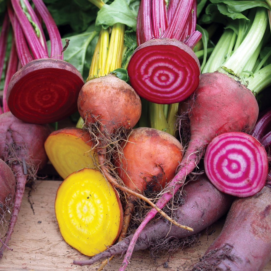 4 Beet Varieties Seeds, make your own fermented beets, Beetroot carpaccio, fun and easy to grow, great gift