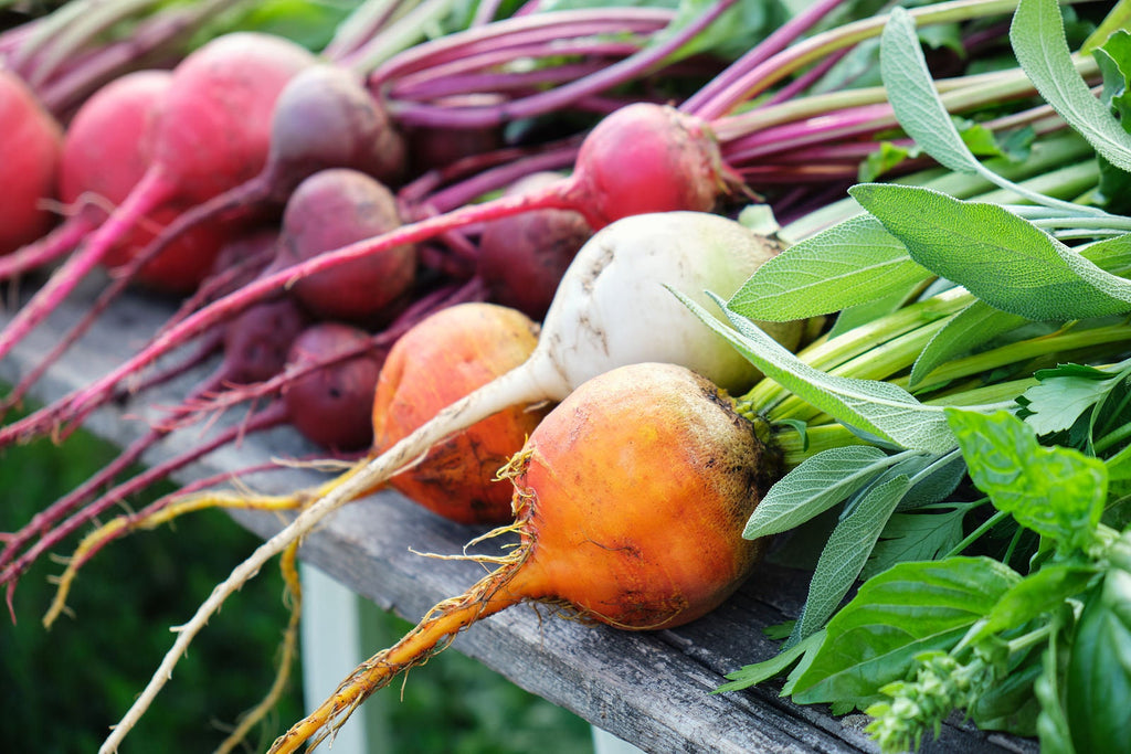 4 Beet Varieties Seeds, make your own fermented beets, Beetroot carpaccio, fun and easy to grow, great gift