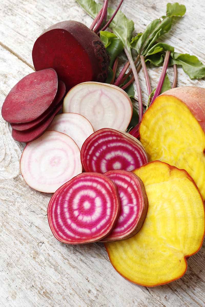 4 Beet Varieties Seeds, make your own fermented beets, Beetroot carpaccio, fun and easy to grow, great gift