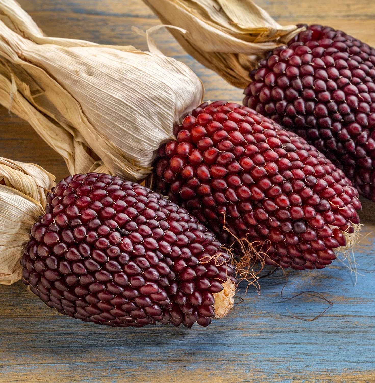 Strawberry Corn seeds, fun and easy to grow, Ruby Red Corn for DIY projects and decor use, fast shipping