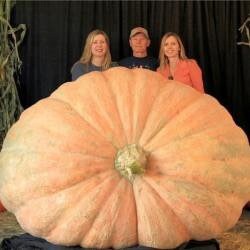 XXXL Pumpkin seeds, Atlantic Giant, amazing gift for all plant lovers gardeners Halloween grow in all zones kids love these organic non GMO