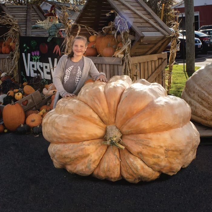 XXXL Pumpkin seeds, Atlantic Giant, amazing gift for all plant lovers gardeners Halloween grow in all zones kids love these organic non GMO