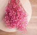 Pink Baby Breath seeds, Rose Baby's Breath Flowers, amazing colour, easy to grow, gift for him and her, wedding, gardening, fast shipping