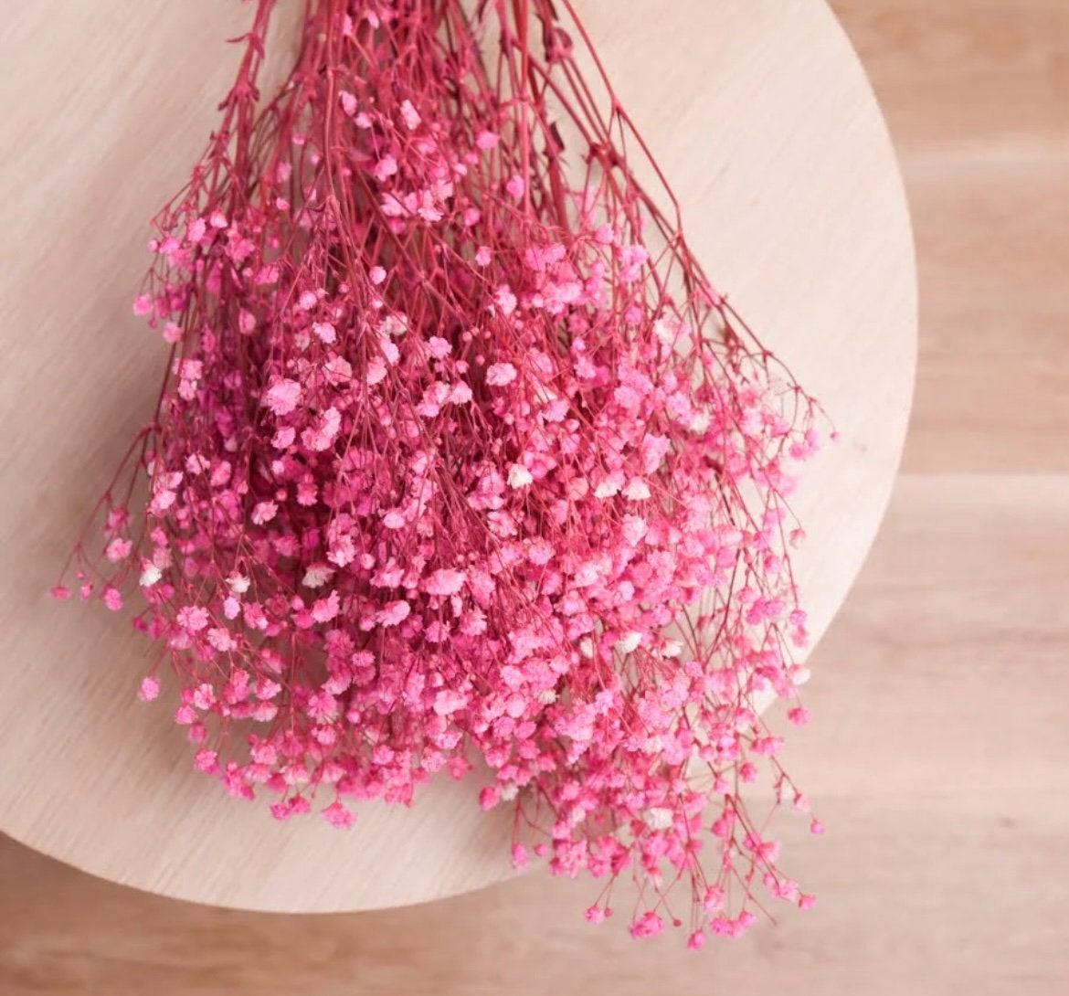 Pink & White Baby Breath seeds, perennial Baby's Breath Flowers, gift for him her mom dad teacher organic gardening, home decor DIY