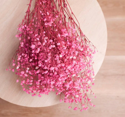 Pink & White Baby Breath seeds, perennial Baby's Breath Flowers, gift for him her mom dad teacher organic gardening, home decor DIY