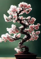 Japanese Cherry Blossom Bonsai Tree seeds, amazing colours, fun and easy to grow, Sakura, fast shipping, organic, a lovely gift