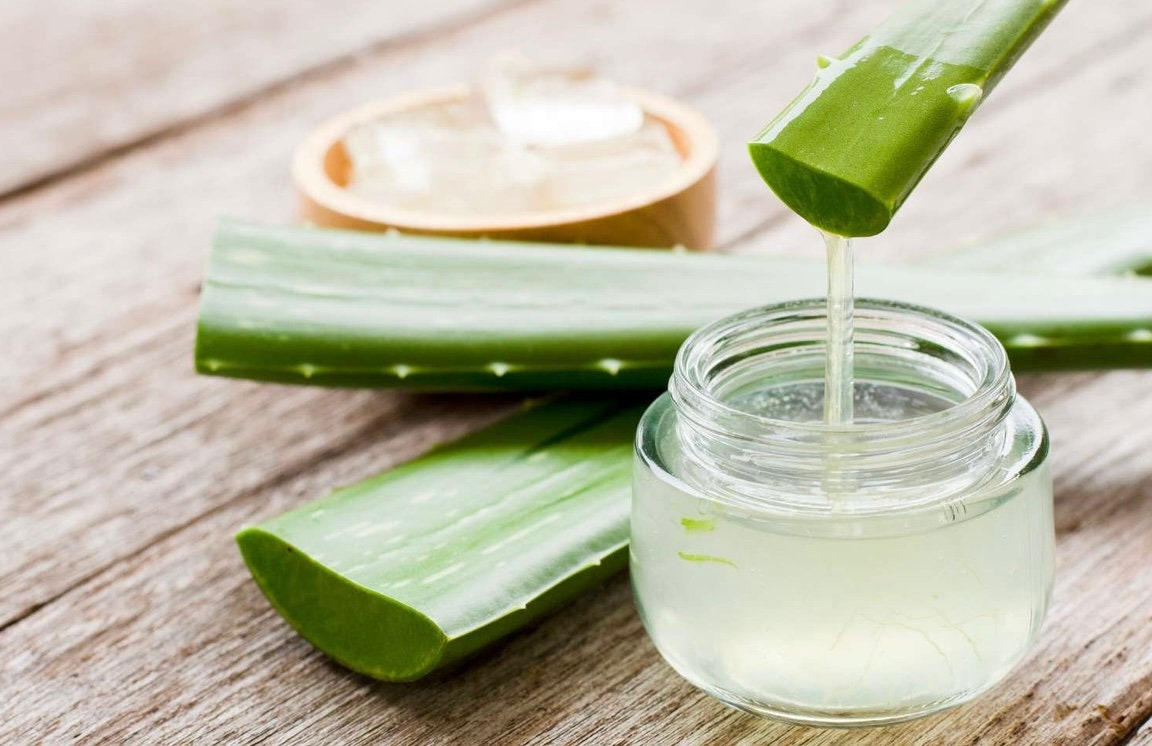 Aloe Vera Seeds – Helen's Greenhouse