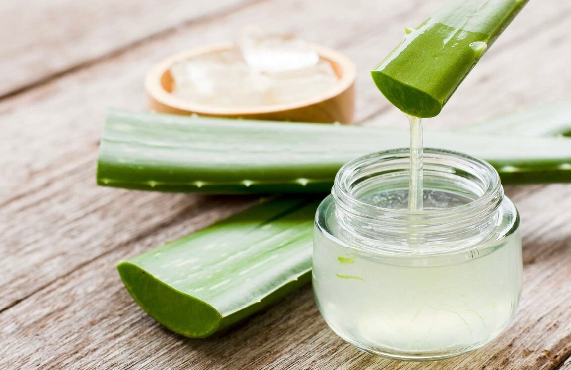 aloe vera plant seeds Aloe Vera Seeds – Helen's Greenhouse
