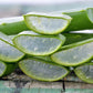 Aloe Vera seeds, Grow your own Aloe Plant for pure Aloe Vera Gel, fun & easy to grow, unique gift, skin care, organic, educational activity