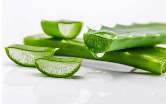 Aloe Vera seeds, Grow your own Aloe Plant for pure Aloe Vera Gel, fun & easy to grow, unique gift, skin care, organic, educational activity