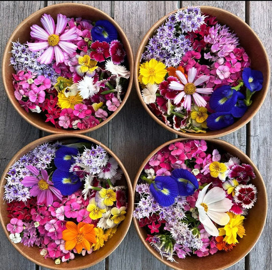 Edible Flower seeds, best gift for him her mom dad organic gardening home decor, kids love these, baking cooking teacher gifts educational