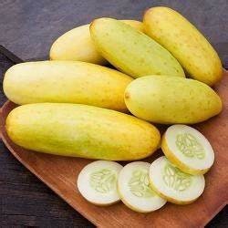 Yellow Cucumber seeds, amazing colour, easy to grow, best gift for him and her, gardening, home decor gifts flower plant