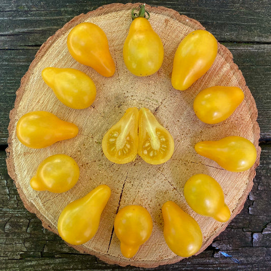 Yellow Pear-shaped Tomato seeds, best gift for him and her, gardening, home gift, educational, fruit & vegetable, mothers day and fathersday