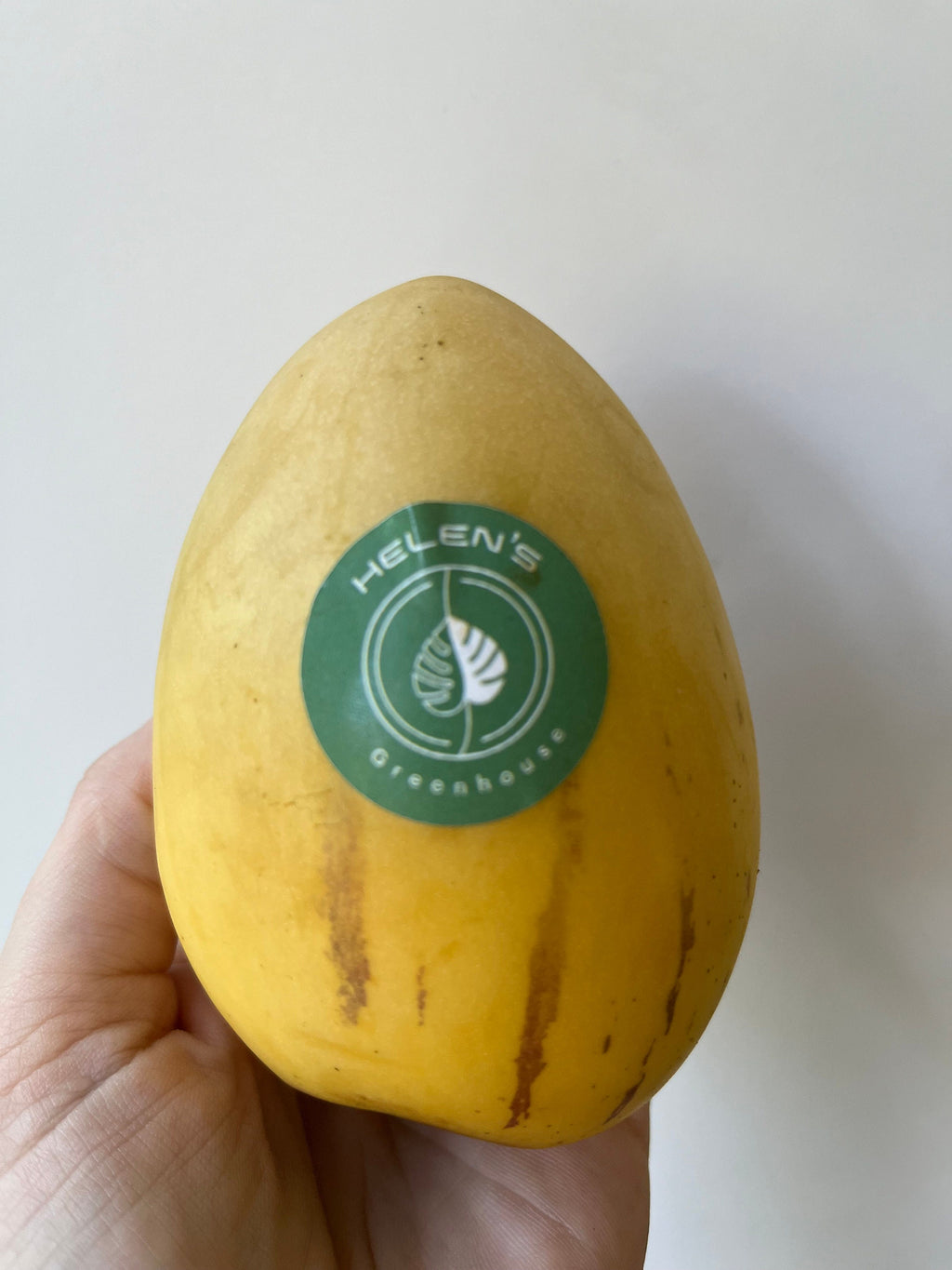 Pepino Melon Pear Seeds: Organic Gardening, Fruit & Vegetables, Superfood, Easy to Grow