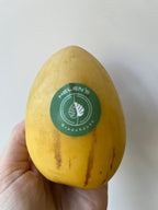 Pepino Melon Pear Seeds: Organic Gardening, Fruit & Vegetables, Superfood, Easy to Grow