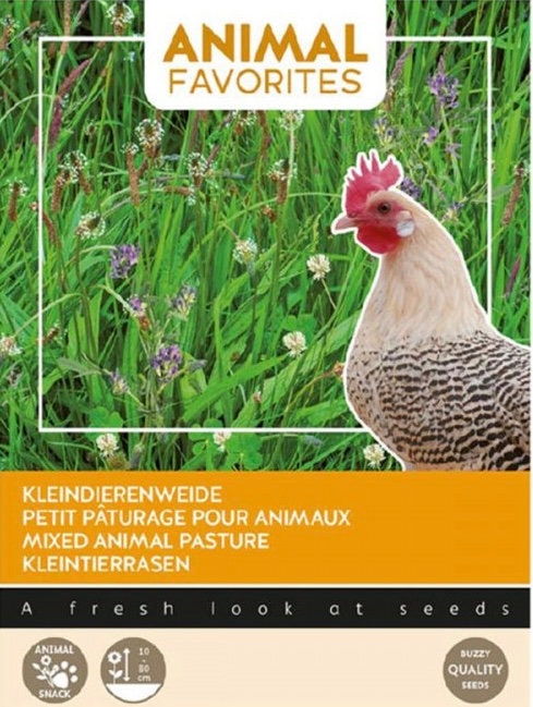 Mixed seeds for your Chickens Roosters Ducks Grow your own Organic Animal Pet Food gift for him her teacher gifts plants birthday present