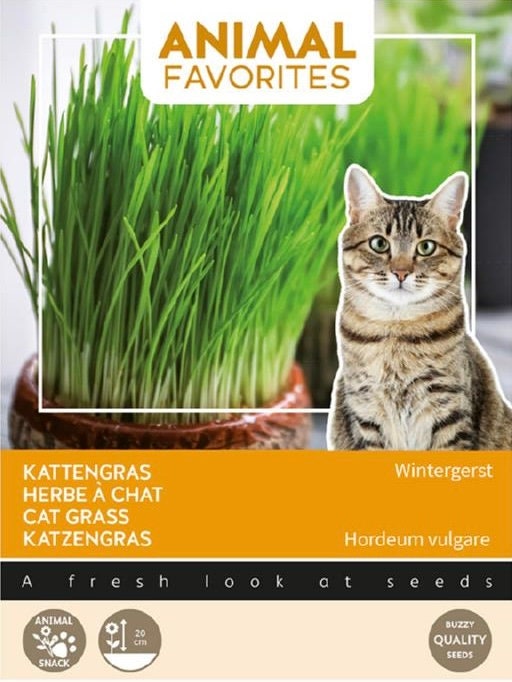 Cat Grass seeds for your Pet Cat Grow your own Organic Animal Pet Food gift for him her teacher gifts plants birthday present DIY Pet lover