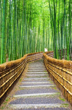 Giant Bamboo Seeds: for Indoor & Outdoor, Organic Gardening, Easy to Grow