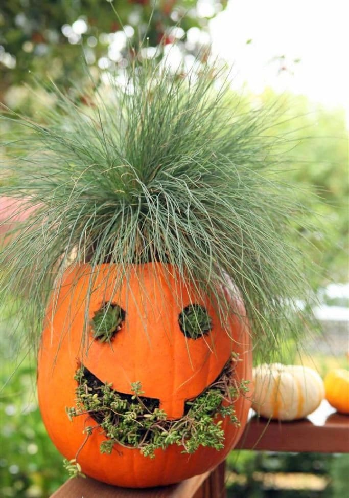 Jack O Lantern Pumpkin seeds outdoor and indoor home decor Halloween gift for him her teacher gifts graduation DIY birthday garden decor