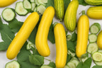 Yellow Cucumber Seeds: Organic Gardening, DIY Fruits & Vegetables