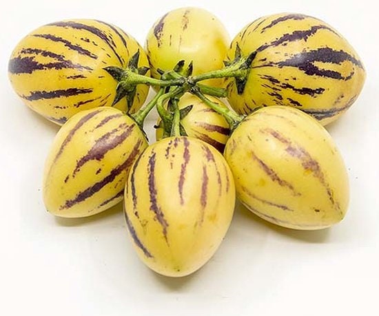 Pepino Melon Pear Seeds: Organic Gardening, Fruit & Vegetables, Superfood, Easy to Grow