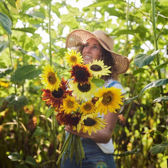 Beautiful Sunflower mix seeds, best gift for him her mom dad, indoor & outdoor home decor birthday teacher gifts DIY flowering plant organic