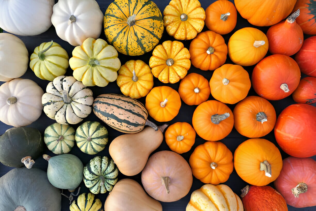 Colourful Pumpkin mixed seeds, best gift for him her mom dad teacher home decor birthday Halloween DIY organic gardening fruits vegetables