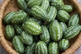Mini Watermelon Seeds: Mouse Melon, DIY Fruit & Vegetables, Fun and Easy to Grow