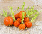 Round Carrot seeds, Daucus Carota, "Parisian Market" gardening best gift for him her mom dad teacher, kids love these strange carrots