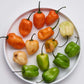 Habanero Pepper seeds mix, best gift for him her mom dad, birthday organic DIY gardening fruit vegetables herbs spices cooking baking