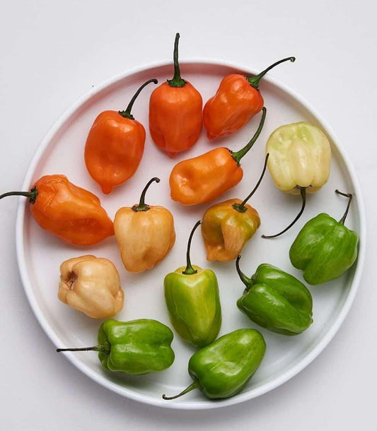 Habanero Pepper seeds mix, best gift for him her mom dad, birthday organic DIY gardening fruit vegetables herbs spices cooking baking
