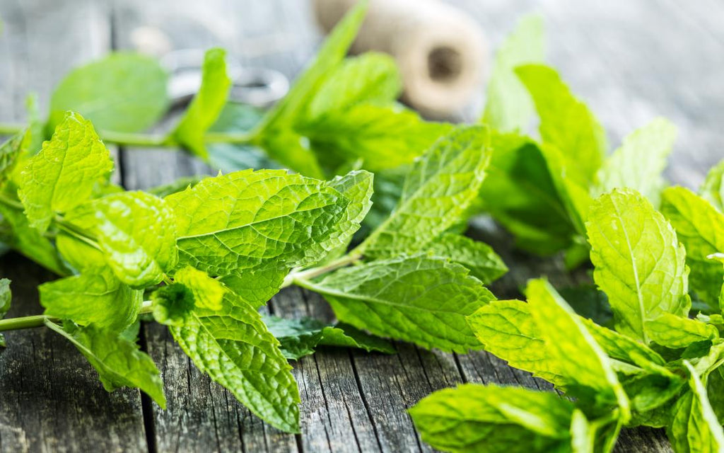 Mint seeds, Grow your own Mint in your kitchen or garden or balcony, gift for him her mom dad teacher, home decor DIY perennial herbs spices