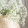White Baby Breath Flower seeds, perennial Baby's Breath Flowers, gift for him her mom dad teacher organic gardening home decor DIY