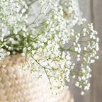 White Baby Breath Flower seeds, perennial Baby's Breath Flowers, gift for him her mom dad teacher organic gardening home decor DIY