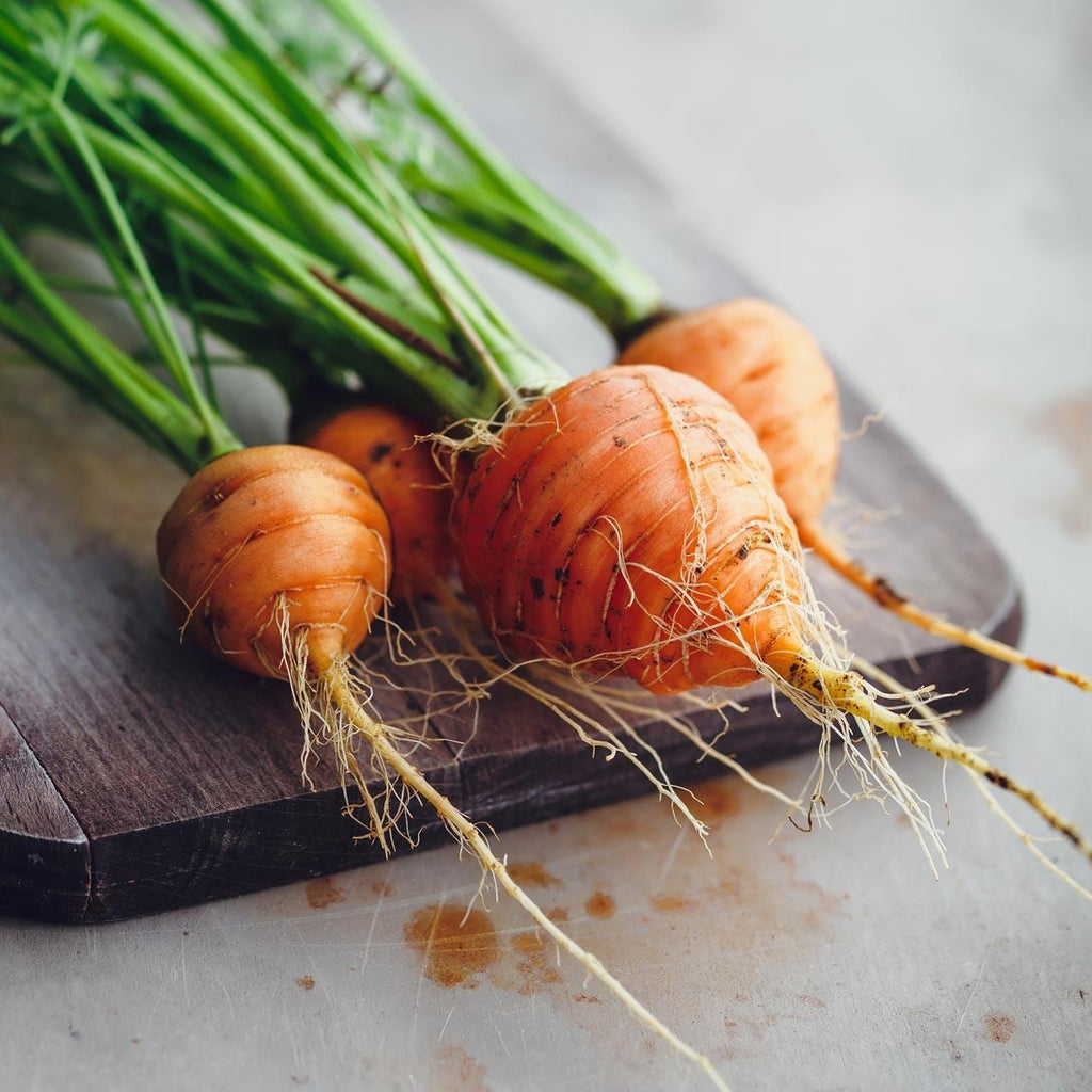 Round Carrot seeds, Daucus Carota, "Parisian Market" gardening best gift for him her mom dad teacher, kids love these strange carrots