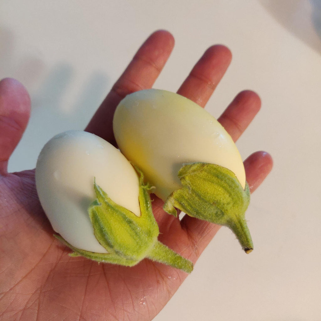Aubergine White Egg seeds, Eggplant, White Garden Eggs, vegetables, best gift for him her mom dad, birthday organic DIY gardening fruit