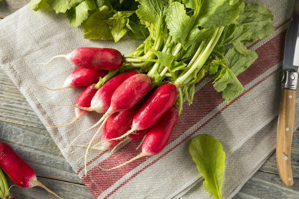 Radish "French Breakfast" best gift for him her mom dad, birthday organic DIY gardening healthy home grown tasty vegetables